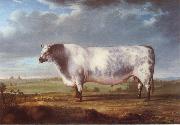 Thomas Alder A Prize Bull Spain oil painting artist
